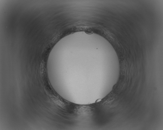 X0000067490463200604211703