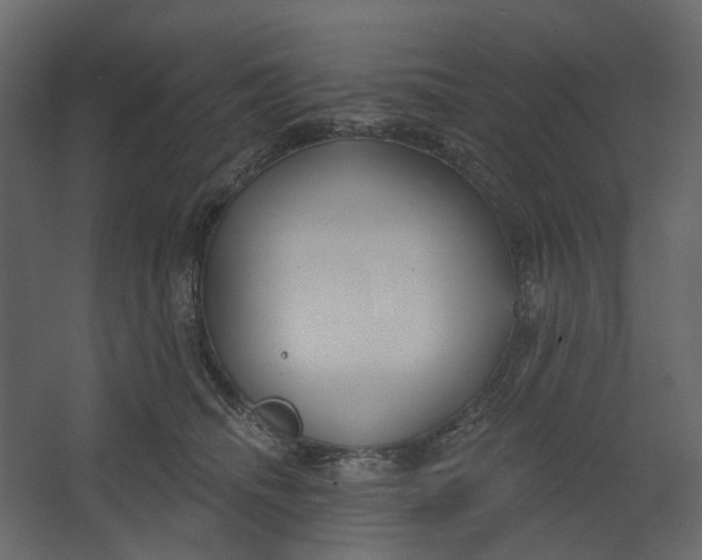 X0000067490468200604211703