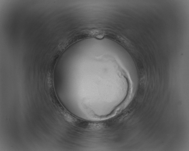 X0000067490469200604211703