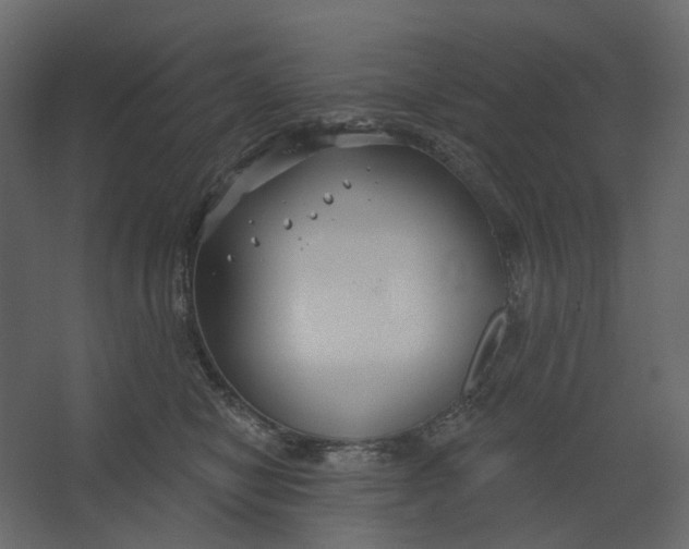 X0000067490470200604211703