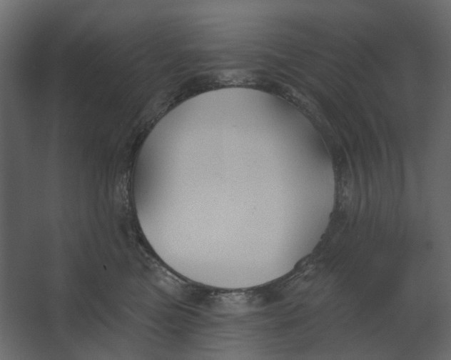 X0000067490473200604211703