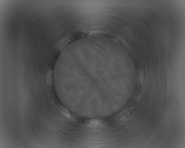 X0000067490475200604211704