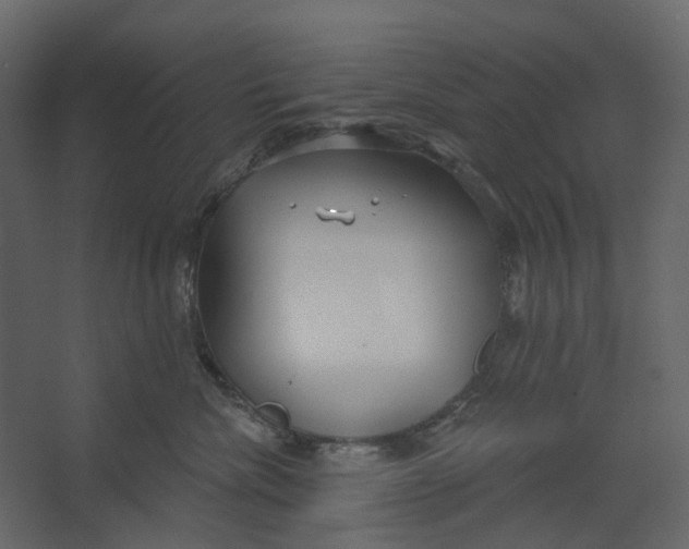 X0000067490476200604211704