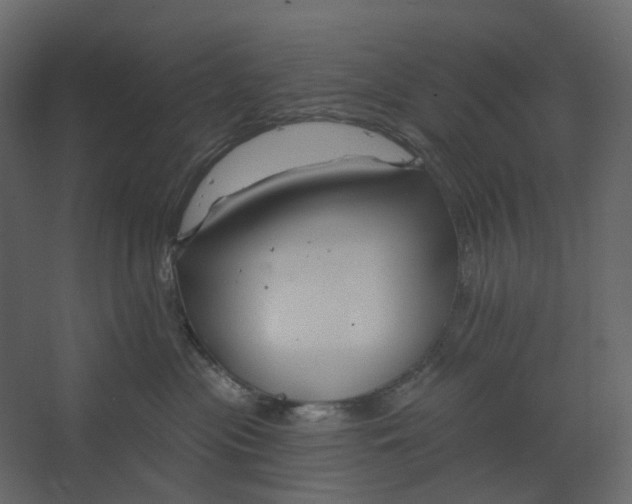 X0000067490477200604211704