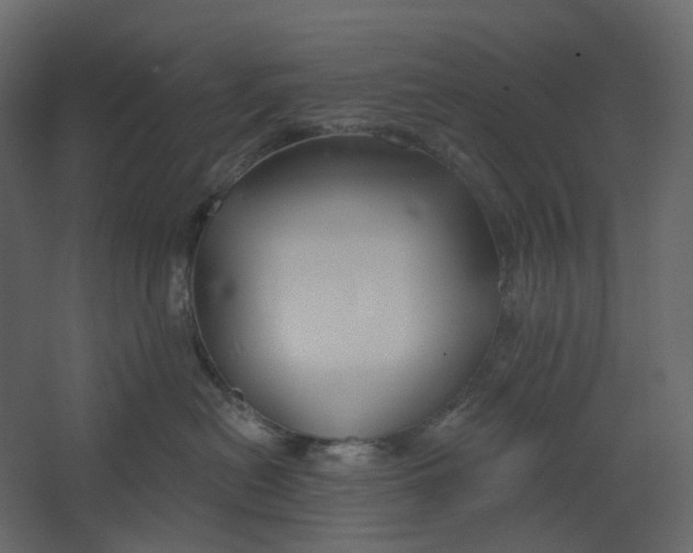 X0000067490478200604211704