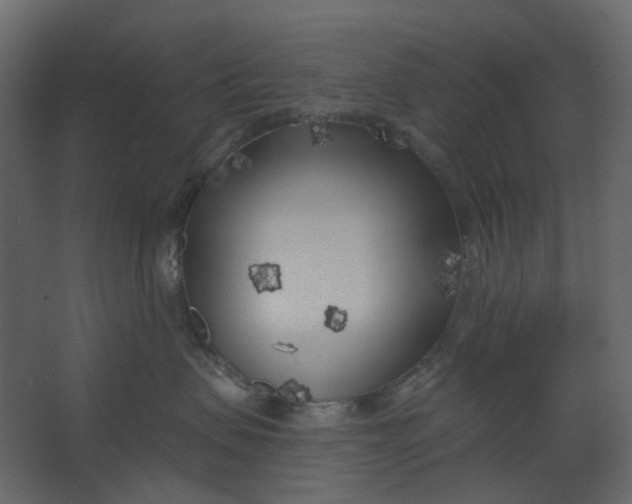 X0000067490479200604211704