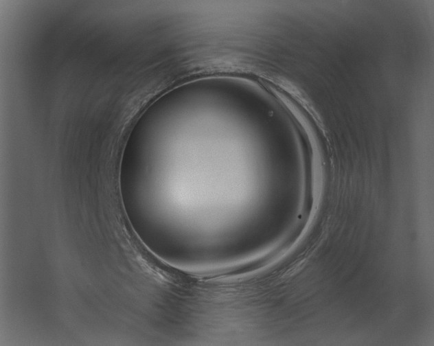 X0000067490481200604211703