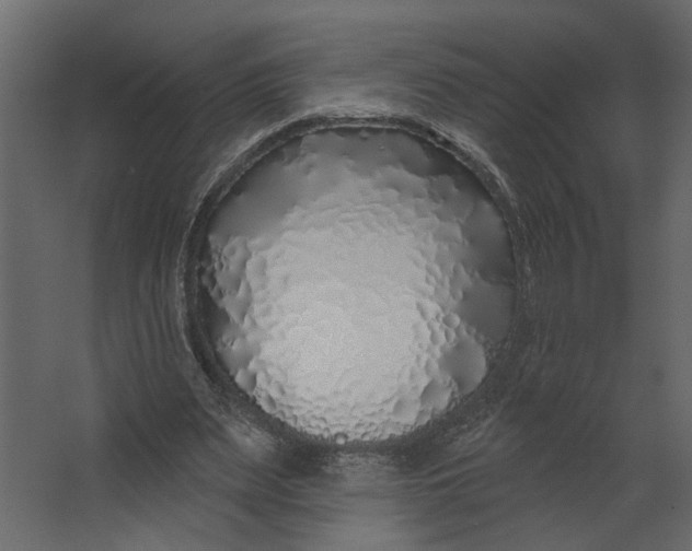 X0000067490487200604211703