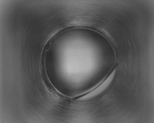 X0000067490488200604211703