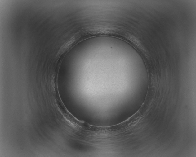 X0000067490489200604211703