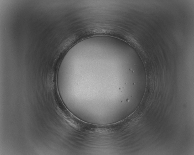 X0000067490490200604211703