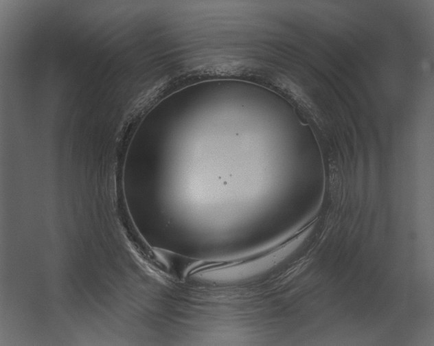 X0000067490493200604211703