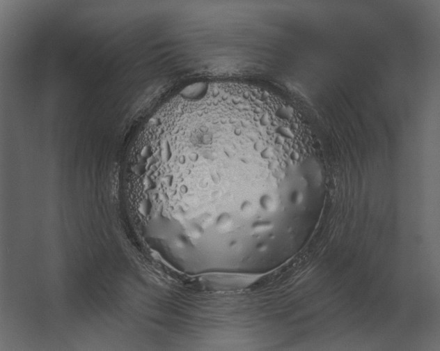 X0000067490495200604211703