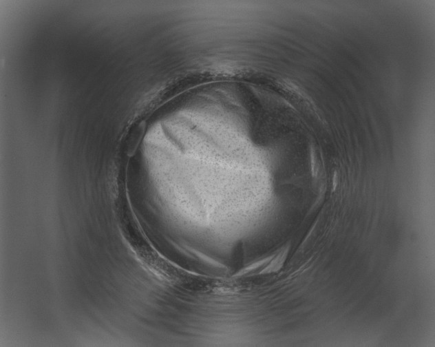 X0000067490496200604211703