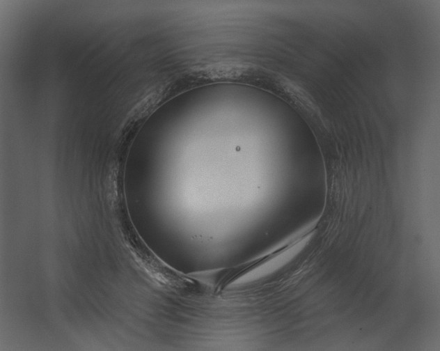 X0000067490501200604211702