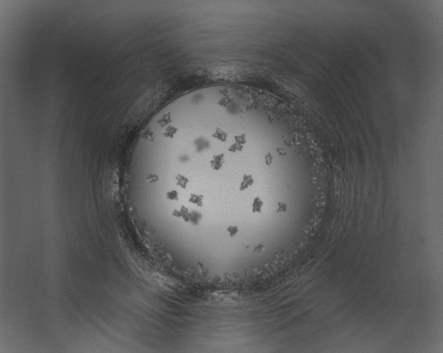 X0000067490502200604211702