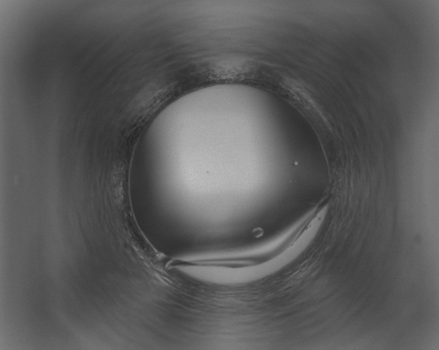 X0000067490505200604211702