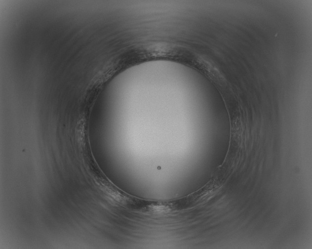 X0000067490509200604211702