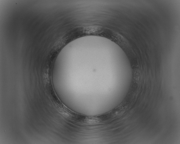 X0000067490510200604211702