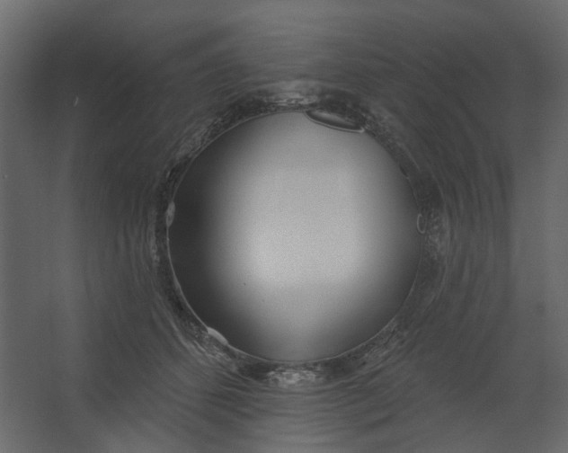 X0000067490512200604211702