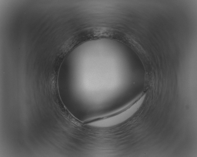 X0000067490513200604211702