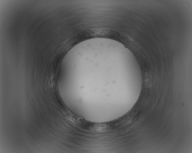 X0000067490514200604211702