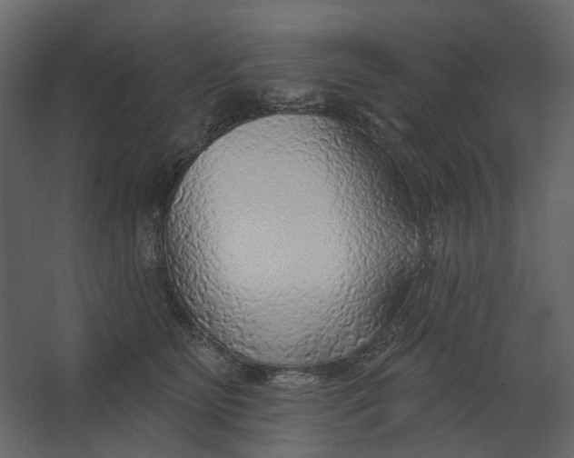 X0000067490515200604211702