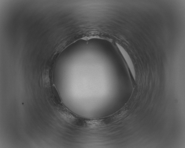 X0000067490516200604211702