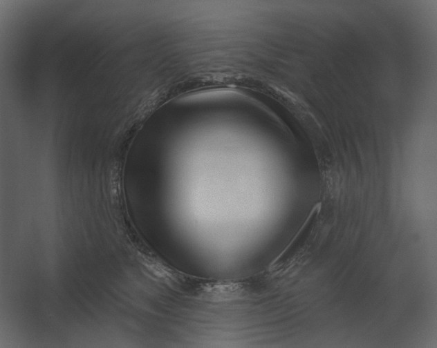 X0000067490517200604211702