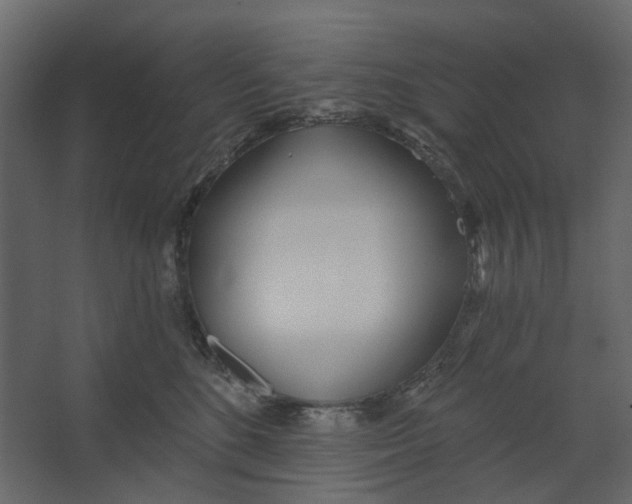 X0000067490520200604211702