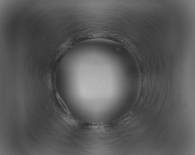 X0000067490524200604211702