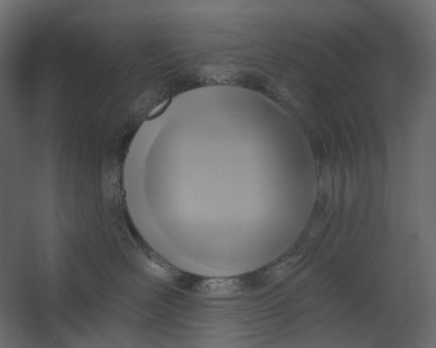X0000067490526200604211702