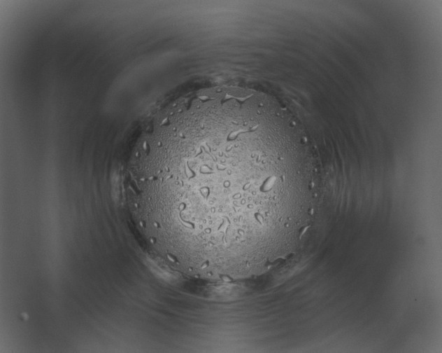 X0000067490527200604211702