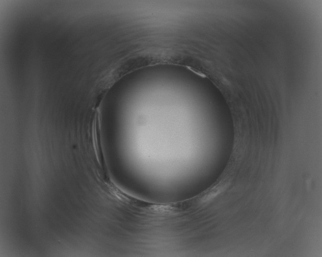 X0000067490528200604211702