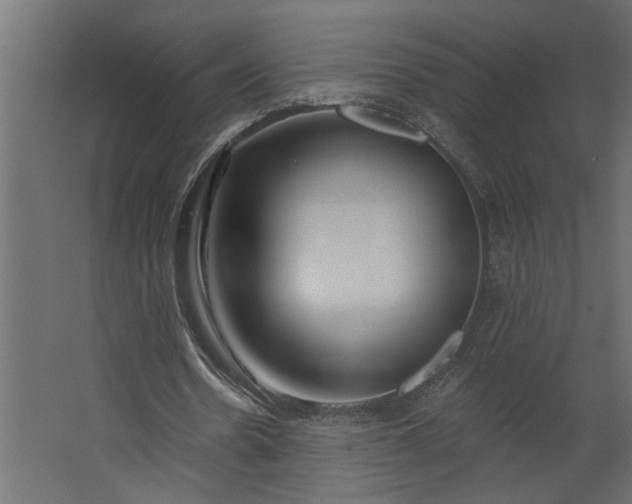 X0000067490530200604211701