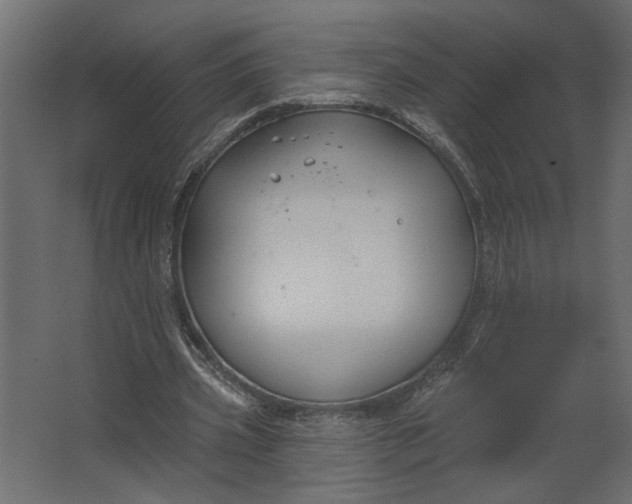 X0000067490533200604211701