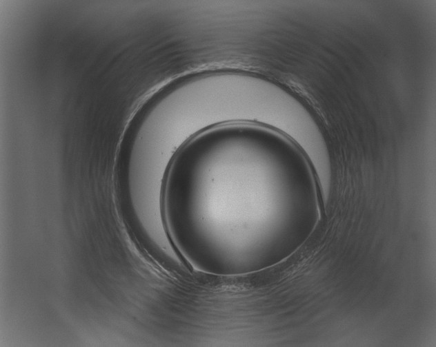 X0000067490536200604211701
