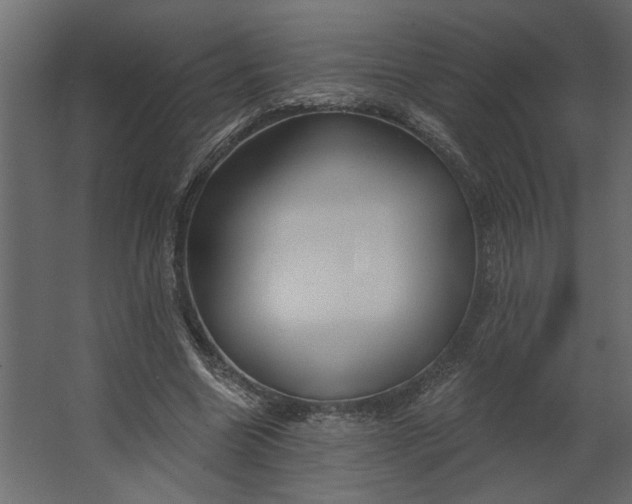 X0000067490538200604211701