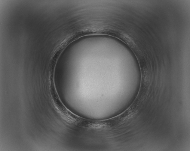 X0000067490542200604211701