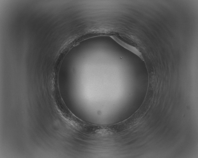 X0000067490544200604211701