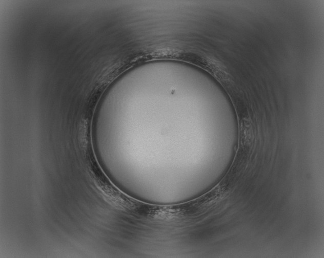 X0000067490550200604211702