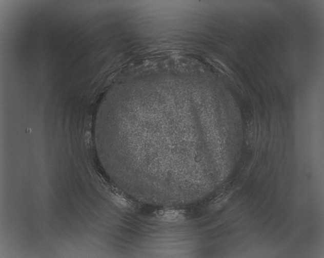 X0000067490553200604211702