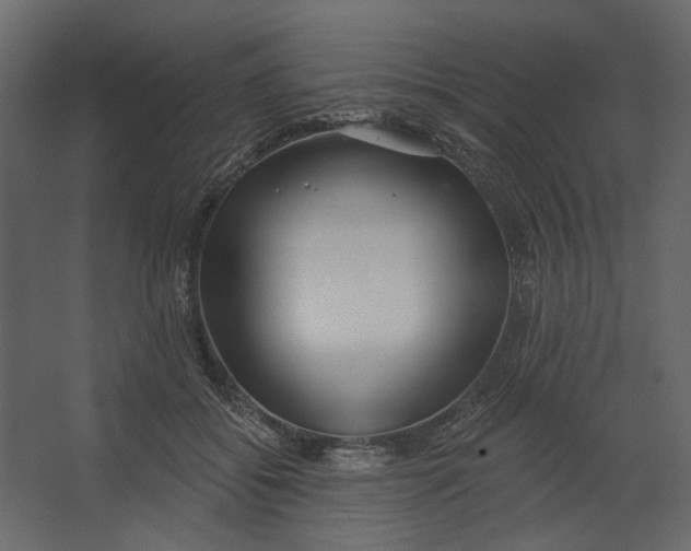 X0000067490556200604211702