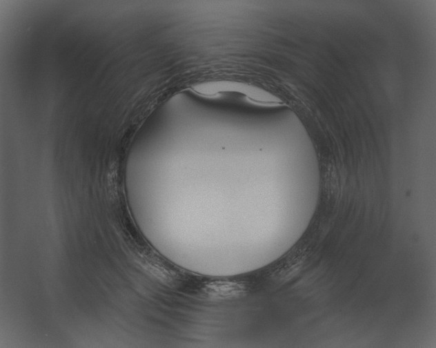 X0000067490557200604211702