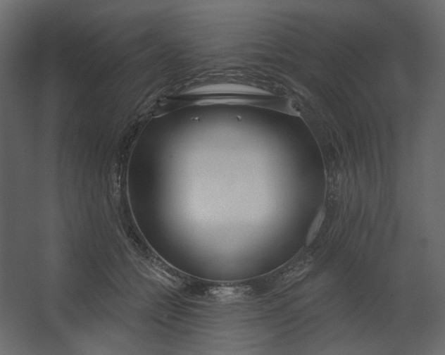 X0000067490558200604211702