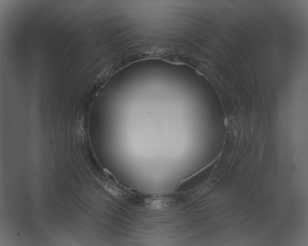 X0000067490564200604211702