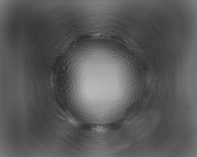 X0000067490565200604211702