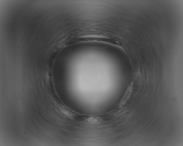 X0000067490566200604211702