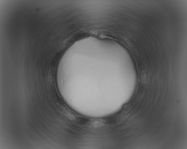 X0000067490569200604211702