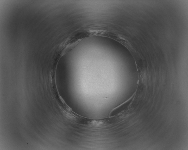 X0000067490570200604211702
